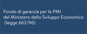 fondo di garanzia per le PMI del ministero dello sviluppo economico